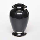 Enchanted Elegance Urn: Black image number 1