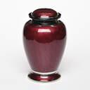 Enchanted Elegance Urn: Red image number 1