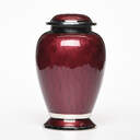 Enchanted Elegance Urn: Red image number 5